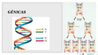 Mutações gênicas e cromossômicas [upl. by Aver]