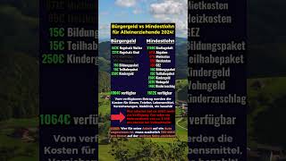 Bürgergeld vs Mindestlohn für Alleinerziehende 2024 [upl. by Aiksas]