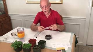 Sowing African violet seeds [upl. by Yanad]