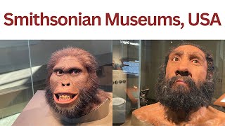 Smithsonian Museum in Washington DC [upl. by Arney825]