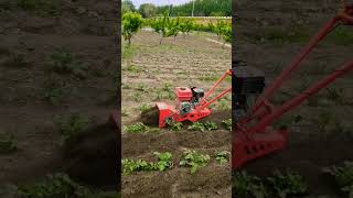 Weeder Ditching Machine Agricultural Machinery 🤷🏽 [upl. by Dhaf]