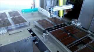 IB Chocolate Molding [upl. by Horwath]