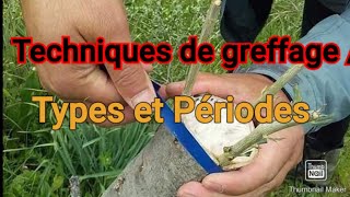 La principe de la greffe les arbres fruitiers  تطعيم جميع الأشجار المثمرة [upl. by Christy584]