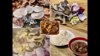 Rezept Austernseitlinge zubereiten  Austernseitlinge SüßSauer  Pleurotus ostreatus [upl. by Ramo]