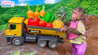 Farmer BiBi harvest pineapples and carrots to cook breakfast [upl. by Fredella]