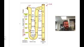 AQA Biology 2019 Paper 3 Runthrough [upl. by Natanoy]