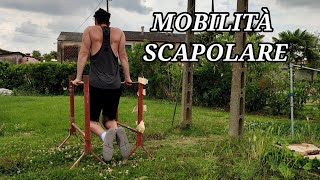 MOBILITÀ SCAPOLARE [upl. by Antonella]