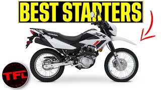 These Are the Best Beginner Motorcycles That Dont Look Like Kids Toys [upl. by Carlotta]