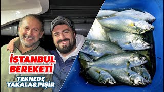 İstanbulun Balık Üstadı İle Adalarda Yakala Pişir Keyfi ft LokmanYusi [upl. by Cherry]