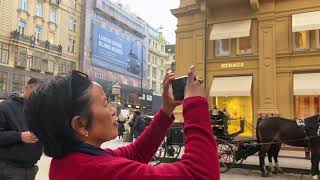 Austria Vienna Vlog I Nepali in Germany I Travel vlog [upl. by Bibeau403]