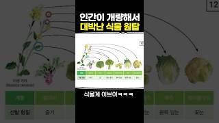 인간이 개량해서 대박난 식물 원탑 [upl. by Sitnalta]