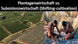 Plantagenwirtschaft vs Subsistenzwirtschaft Merkmale Vorteile  Nachteile Erdkunde Oberstufe [upl. by Wareing]