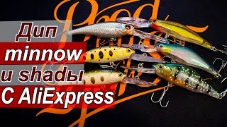 Диповые шеды и минноу с AliExpress  Лайт воблеры из китая  Обзор  немного рыбалки [upl. by Elboa]