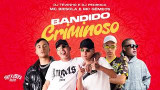 MC Brisola e MCS Gêmeos  Bandido Criminoso  DJ Tevinho e DJ Pedroca [upl. by Aubarta602]