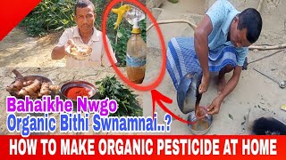 How to make Organic Pesticide at Home  Langma Tv [upl. by Ilse]