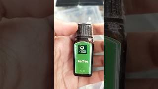 Tea Tree Oil [upl. by Lletnwahs]