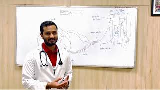 Fasciculations Fibrillations amp Myokymia Department of General Medicine DMIHER [upl. by Pickar]