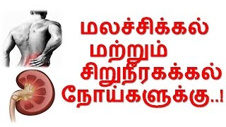 TamilTamil NattuTamil Nattu MaruthuvamTamil Siddha MaruthuvamTamil Natural MedicineSiddha [upl. by Anide]