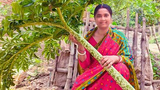 🔥এইভাবে রান্না করুন ওল কচুর ডাটা  মাংস ফেল 🔥Home Grown Fresh OL KOCHU Recipe with PrawnShrimp🍤 [upl. by Nnaik]