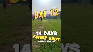 DAY 12 OF CHALLENGE CricketwithGovind cricket minivlog challenge ytshorts viralshorts yt [upl. by Eenel545]