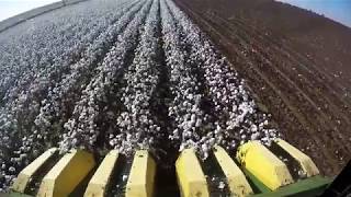 west texas cotton harvest 2017 [upl. by Okkin]