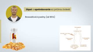 Boswellia serrata [upl. by Power244]