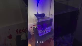 Guppy tank tourrrr [upl. by Bautram]