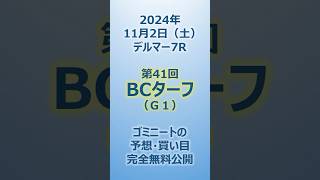 2024112土 第41回ブリーダーズカップターフG1 予想動画 [upl. by Snider950]