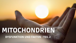 Mitochondrien  Dysfunktion und Fakten  Teil 2 [upl. by Dihaz]