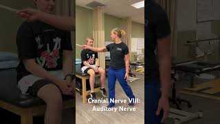 Cranial Nerve VIII Vestibulocochlear Nerve [upl. by Gnahc871]