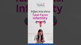 Fallopian Tube Blockage Symptoms Causes Diagnosis and Treatment  IVF in Jalandhar [upl. by Eiggam899]