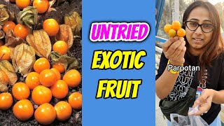 Exotic Fruit🧐Never Eaten Before  shorts review fuits bestfood [upl. by Eelsew980]