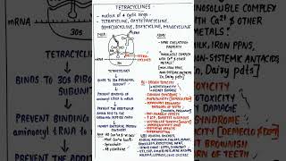 Tetracyclines [upl. by Vinni920]