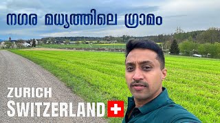 07 സ്വിറ്റ്‌സർലാൻഡ് സിറ്റിക്കുള്ളിലെ മനോഹര ഗ്രാമം  Palanadan Traveller I Europe I Switzerland [upl. by Eillod]