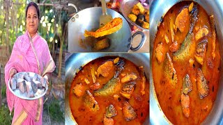 চিতল মাছের ঝোল আলু দিয়ে । chital macher recipe bengali style recipe frish chital [upl. by Kroll311]