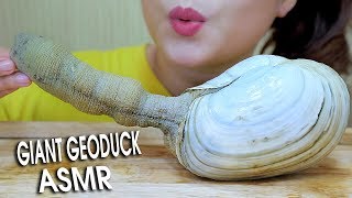 ASMR Mukbang eating Giant geoduck Part 02  Chewy Crunchy eating sound 먹방  LINHASMR [upl. by Nemhauser648]