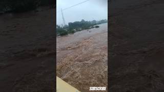 Flood  Kamandala Naganathi River  Arni flood river arnis cyclone nathi shorts trending [upl. by Kimberly]