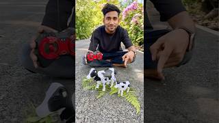 Big and Small Remote Control Cow 🐄 Testing rccow [upl. by Pillihpnhoj]