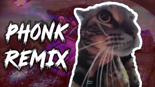 CAT MEOWS AT DOORBELL CAMERA Phonk Remix [upl. by Assilat441]