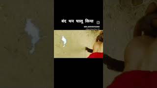 बंद थन चालू किया reel video love vetenary cow animals funny [upl. by Colston]