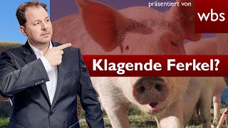 Gequälte Tiere PETA lässt Ferkel klagen  Geht das  Rechtsanwalt Christian Solmecke [upl. by Reginnej]