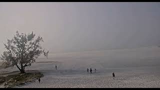 OHIO Siesta Beach Live Cam [upl. by Dnyletak]