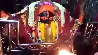 Maa Kali Arati at Kalighat Temple [upl. by Nuahsar]