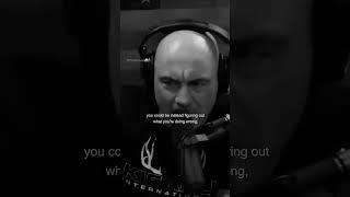 Joe Rogan [upl. by Hachmann]