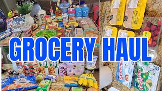 ✨NEW✨Weekly Grocery Haul  ALDI amp WALMART [upl. by Barimah]