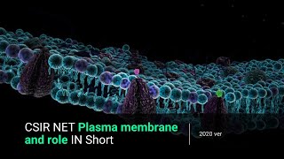 CSIR NET Plasma membrane and role IN Short [upl. by Llenrap]