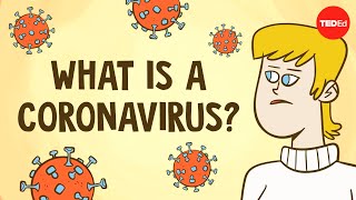 What is a coronavirus  Elizabeth Cox [upl. by Lonna257]