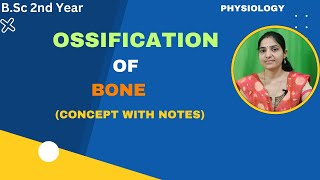 Ossification of bone BSc 2nd YearDevelopment of boneIntramembranousendochondral ossifications [upl. by Ynattir]