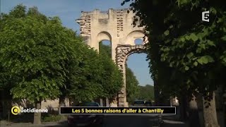 Les 5 bonnes raisons daller à Chantilly [upl. by Akerdna658]