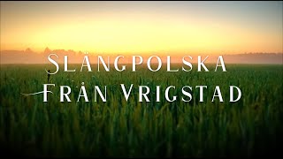 Slängpolska från Vrigstad [upl. by Fitalludba789]